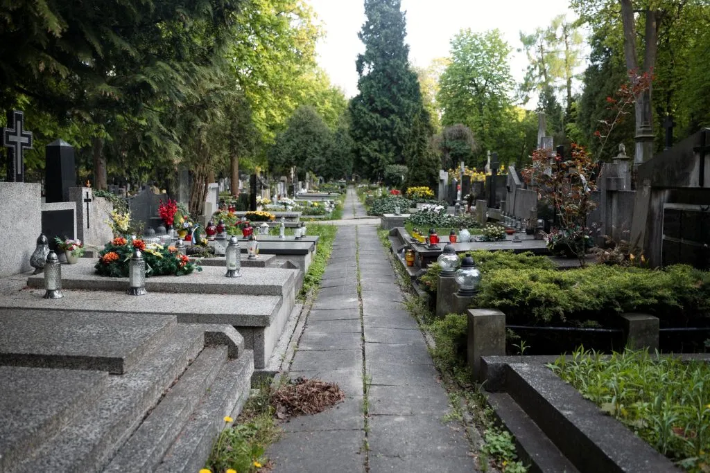 Monuments funéraires et tombes en granite alignés dans un cimetière paysager
